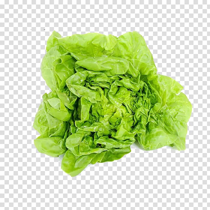 Romaine lettuce Cream Vegetable Milk European cuisine, Free milk cabbage pull material transparent background PNG clipart