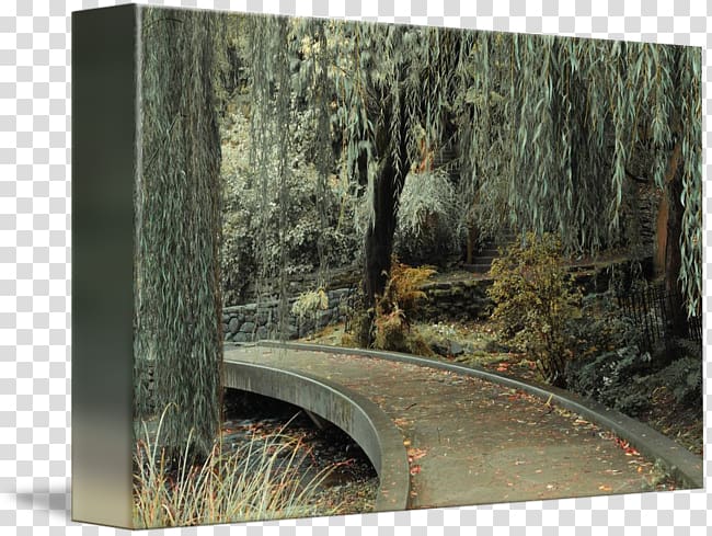Woodland Garden /m/083vt Printing Canvas, garden path transparent background PNG clipart