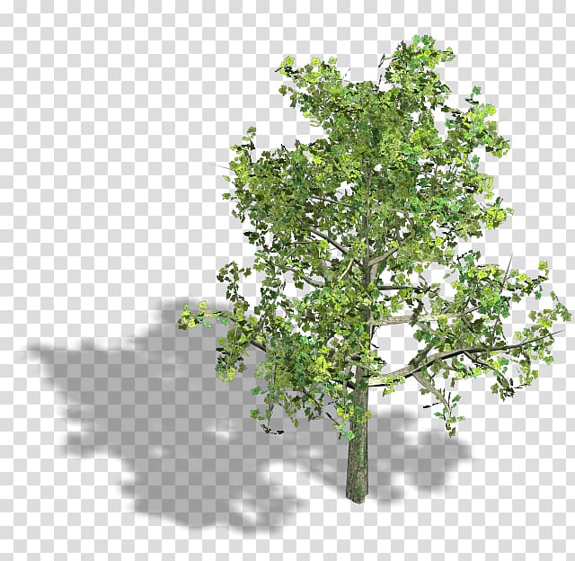 green and yellow tree illustration, Branch Isometric projection Axonometric projection Tree Isometric graphics in video games and pixel art, tree transparent background PNG clipart