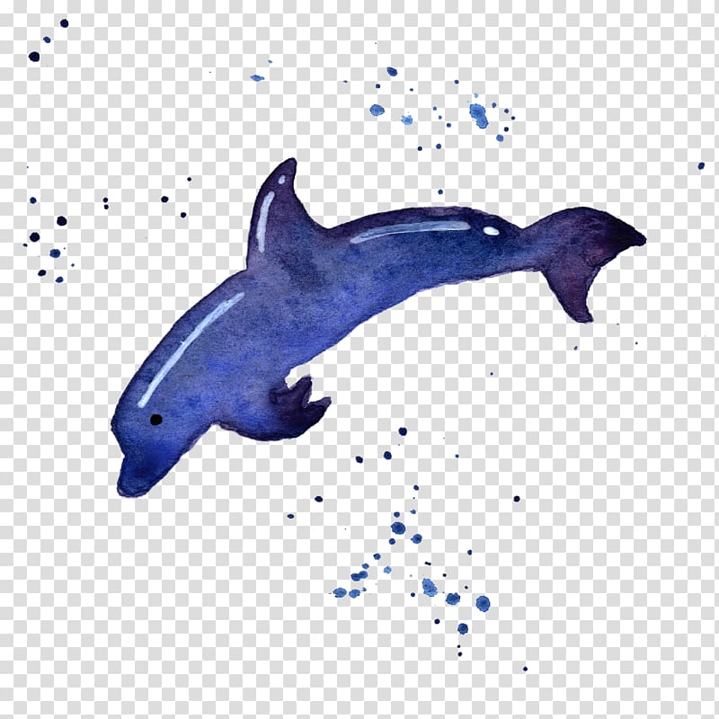 Common bottlenose dolphin Tucuxi Rough-toothed dolphin Porpoise, nature sea animals dolphin transparent background PNG clipart