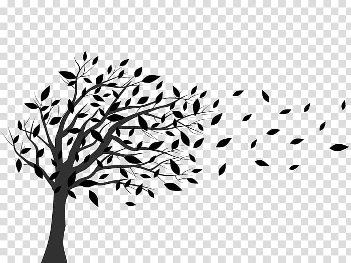 Wall decal Tree Fototapet Wind, autumn wind transparent background PNG clipart