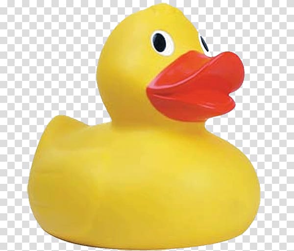 yellow and orange duckling illustration, Rubber duck Mallard Ernie Big Duck, DUCK transparent background PNG clipart