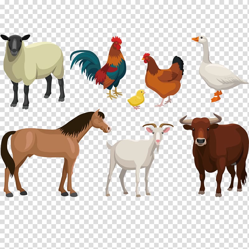 assorted animals illustration, Cattle Goat Sheep Live, Farm animal illustration transparent background PNG clipart