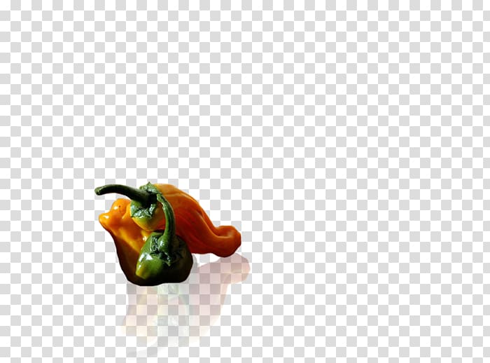 Chili pepper Capsicum annuum Scoville Unit Units of measurement Close-up, small pepper transparent background PNG clipart