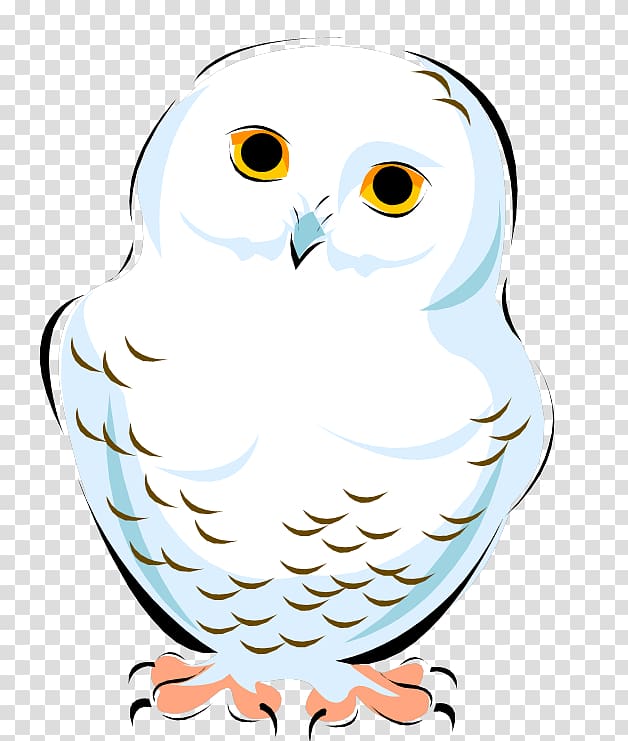 Snowy owl graphics, owl transparent background PNG clipart