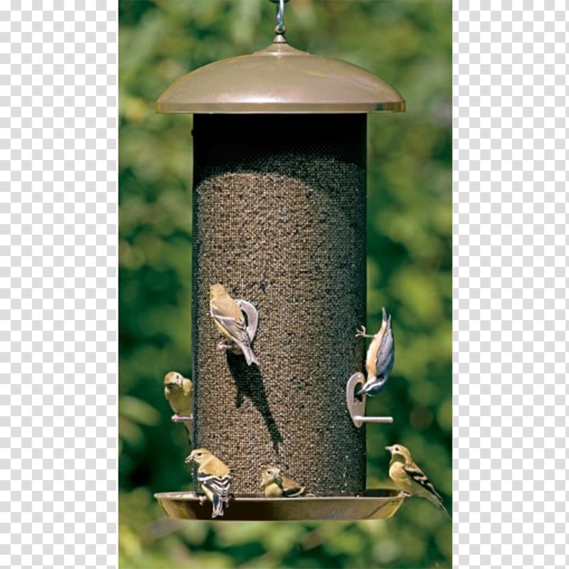 Finch Bird Feeders Hummingbird Squirrel, Giant transparent background PNG clipart