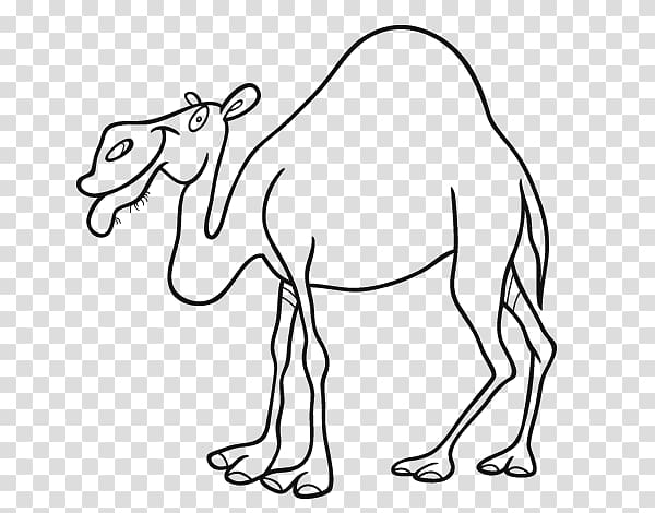 Dromedary Bactrian camel Drawing Coloring book, others transparent background PNG clipart