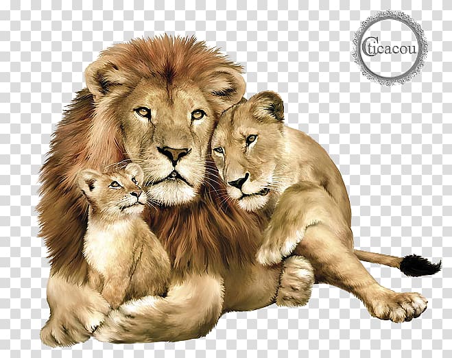Baby Lions Lions Clubs International East African lion Felidae Jaguar, jaguar transparent background PNG clipart