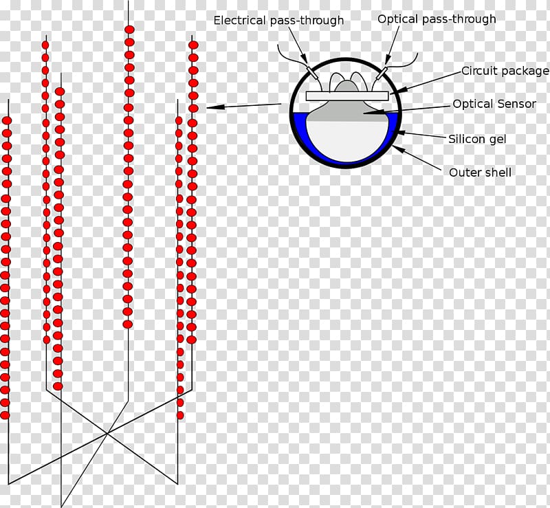 Antarctic Muon And Neutrino Detector Array IceCube Neutrino Observatory DUMAND Project Amundsen–Scott South Pole Station, Antarctic Circle transparent background PNG clipart