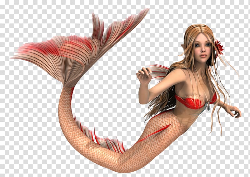 the swimming mermaid transparent background PNG clipart