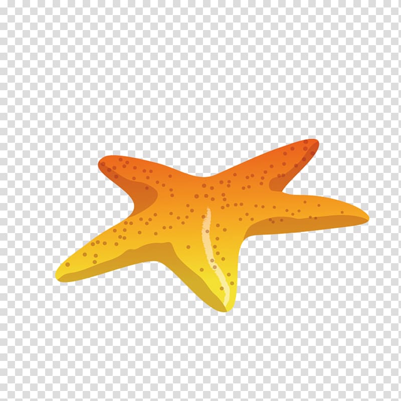 Starfish Sea , starfish transparent background PNG clipart