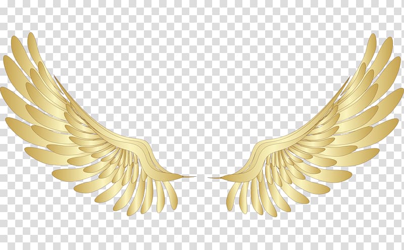 yellow wings illustration, Wing Gold , Golden wings transparent background PNG clipart