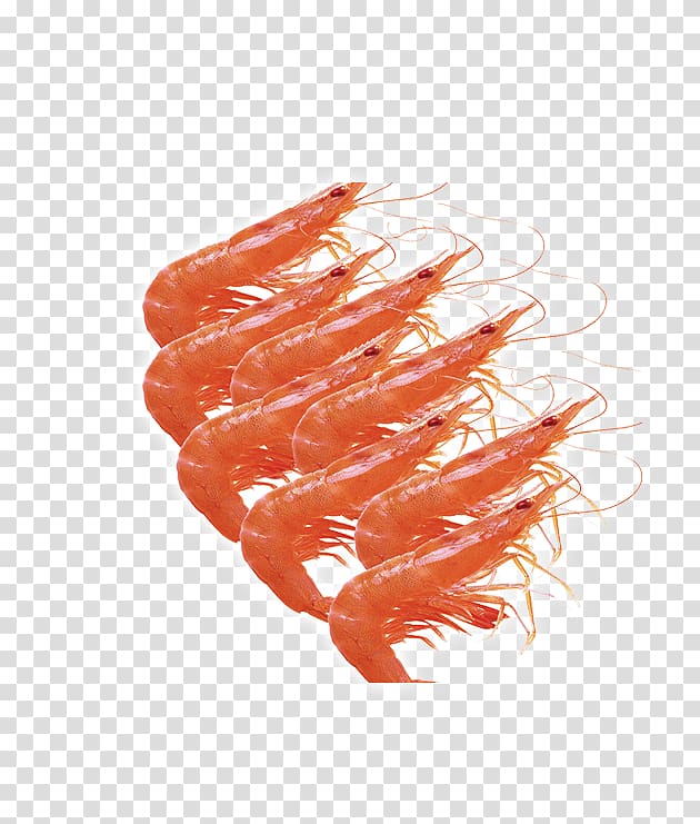 Caridea Giant tiger prawn Chinese white shrimp, lobster transparent background PNG clipart