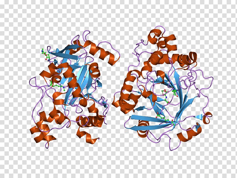 KDM4A Demethylase Art Gene Lysine, others transparent background PNG clipart