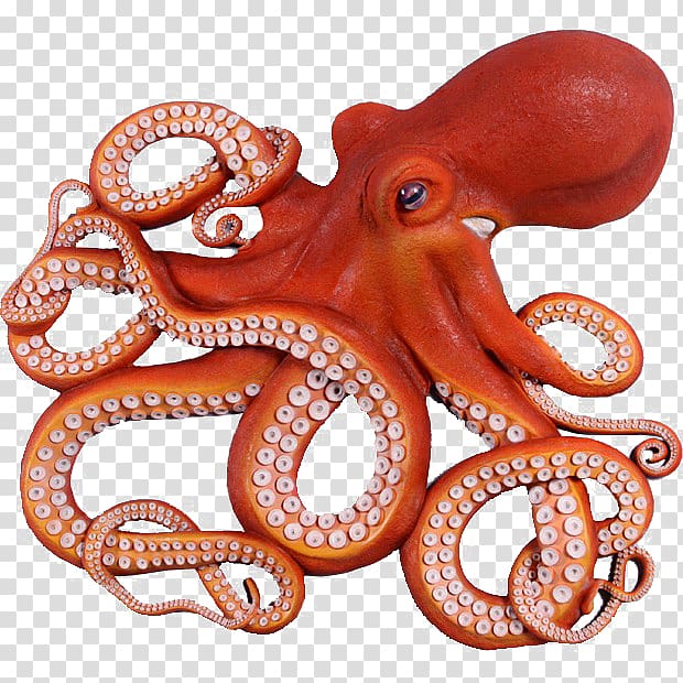 Giant Pacific octopus Fishing Drawing, Fishing transparent background PNG clipart