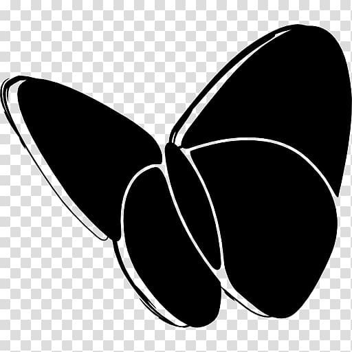 Butterfly MSN Logo, butterfly transparent background PNG clipart