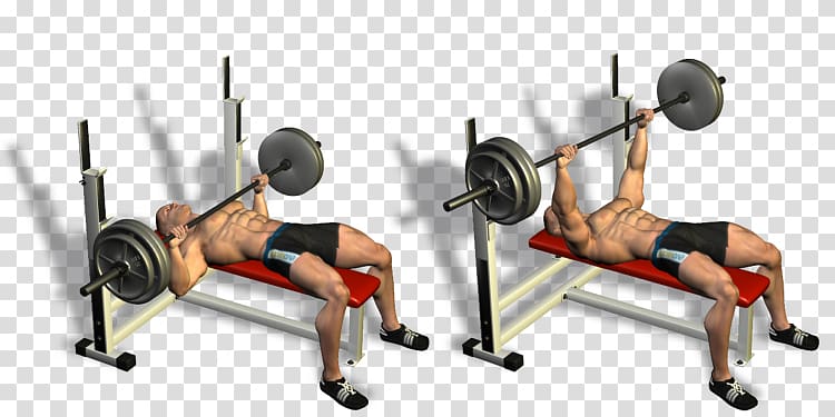 Exercise Bench press Dumbbell Fitness Centre Bodybuilding, dumbbell pullover transparent background PNG clipart