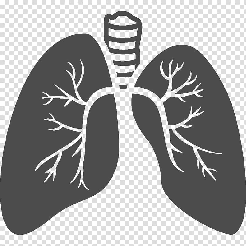 Pulmonology Intensive Care Medicine allergology Specialty, others transparent background PNG clipart