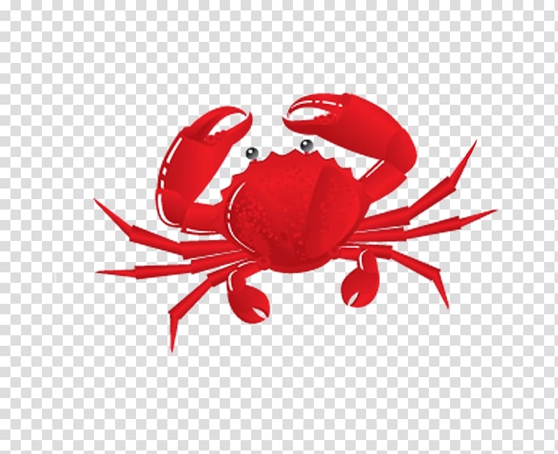 Chilli crab graphics 4th Annual United Way Crab Feast, crab transparent background PNG clipart