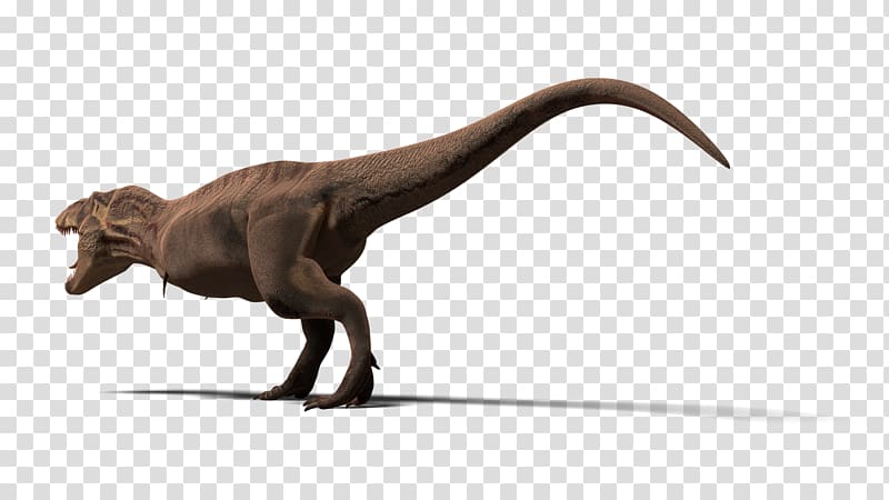 Tyrannosaurus TurboSquid Animal Velociraptor 3D modeling, Trex transparent background PNG clipart