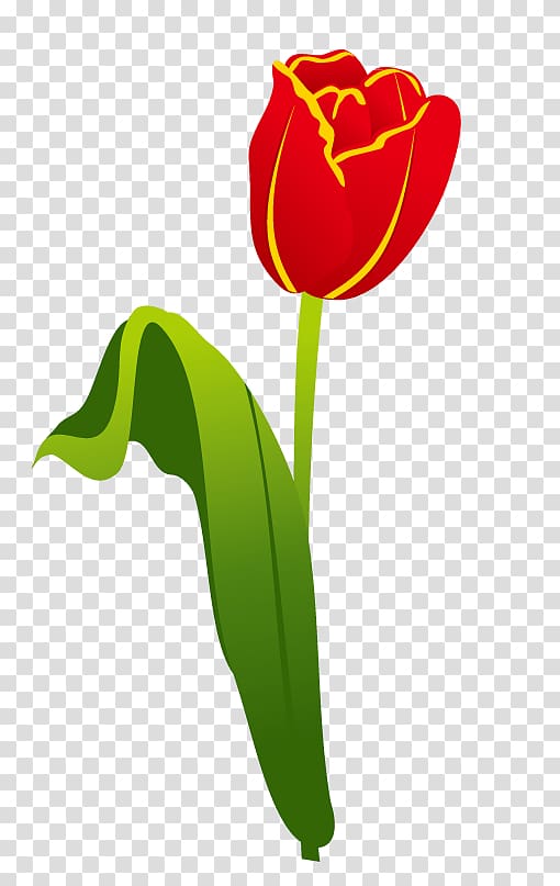 Garden tool Gardening Landscaping, Tulip flower transparent background PNG clipart