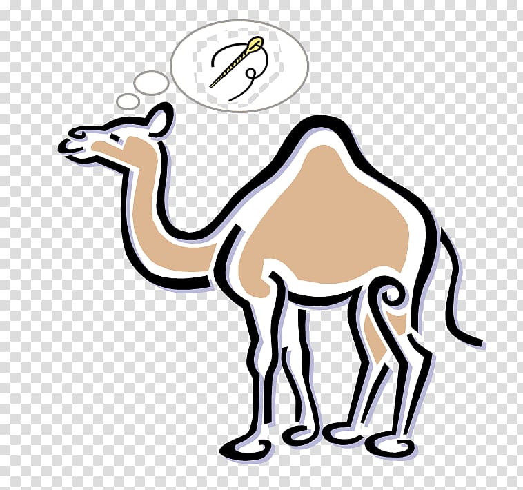 Camel Cartoon , camel transparent background PNG clipart.