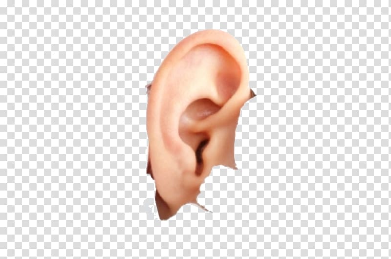 Hearing Tinnitus, Ear transparent background PNG clipart