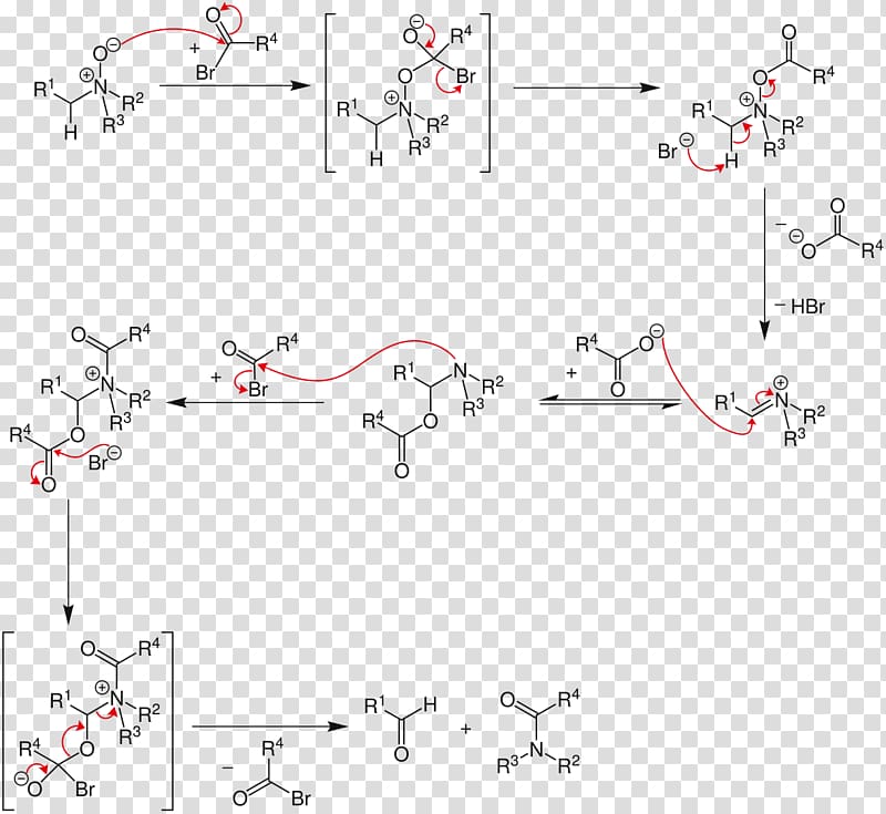 Strategic Applications of Named Reactions in Organic Synthesis Polonovski reaction Rearrangement reaction Reaction mechanism Acetic anhydride, Common Berthing Mechanism transparent background PNG clipart