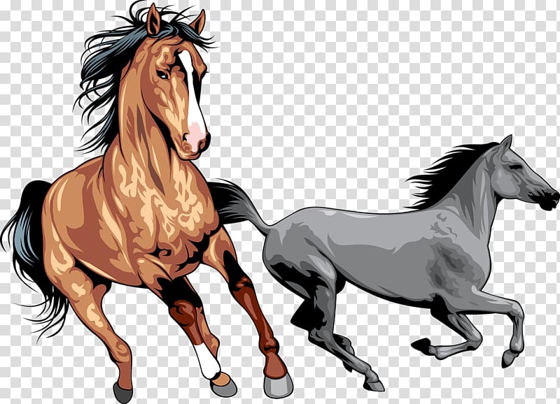 gray and brown horses clip ar t, Mustang Wild horse , Galloping horses transparent background PNG clipart