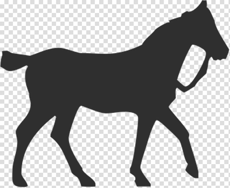 Horse Silhouette Equestrian Pet, whitehorse transparent background PNG clipart