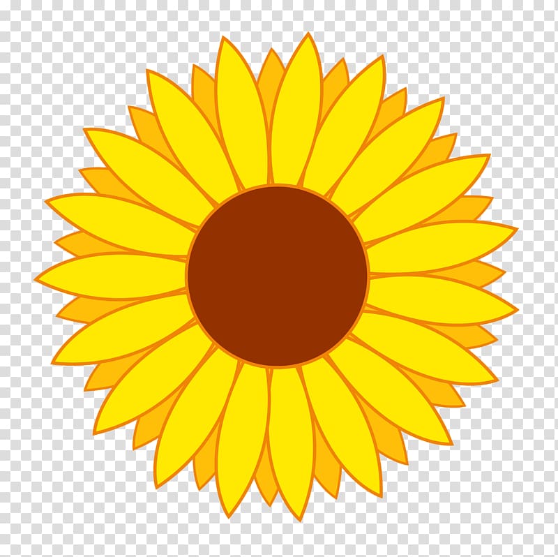 yellow sunflower , Common sunflower , Flower transparent background PNG clipart