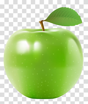 Sketch of drawing fruit three green apples. - Stock Illustration [44563786]  - PIXTA