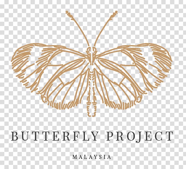 Butterfly Malaysia Insect Project Hello Butterflies!, butterfly transparent background PNG clipart