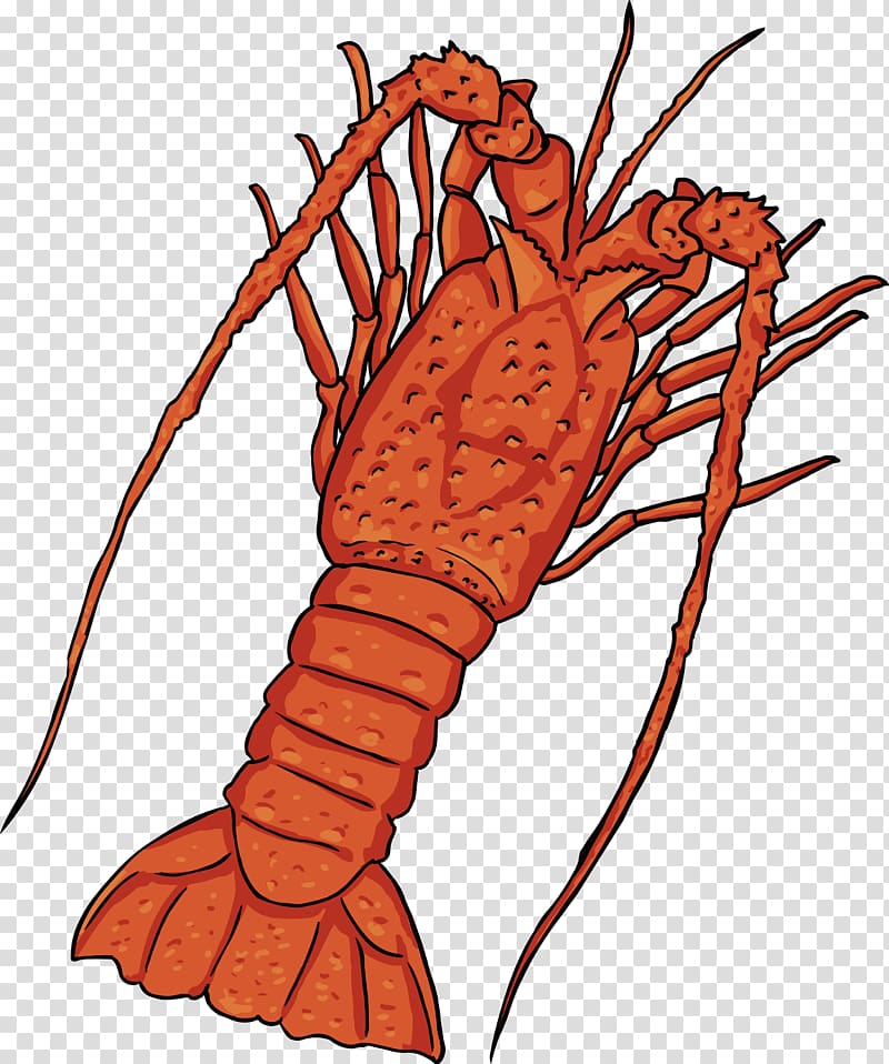 Homarus Palinurus Vecteur, Lobster design transparent background PNG clipart