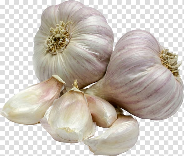 Kefir Milk Garlic Recipe Drink, garlic transparent background PNG clipart