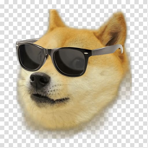 Brown Dog Wearing Sunglasses Illustration Agar Io Shiba Inu Doge