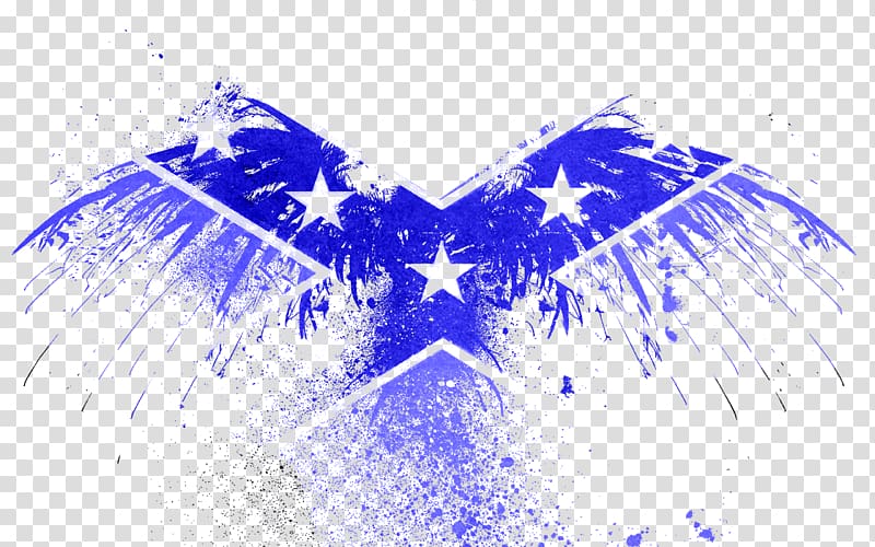 United States Desktop Flag of Kazakhstan Eagle, united states transparent background PNG clipart