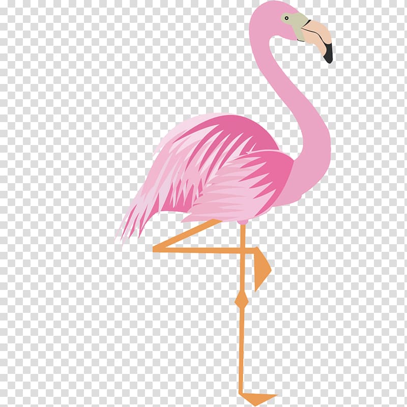 pink flamingo, Greater flamingo Drawing Cartoon, Pink cartoon flamingo 17 material transparent background PNG clipart
