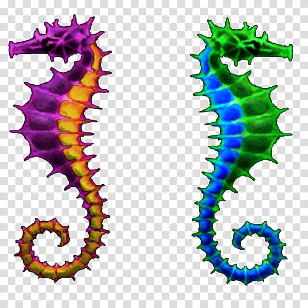 Seahorse Body Jewellery Line , seahorse transparent background PNG clipart