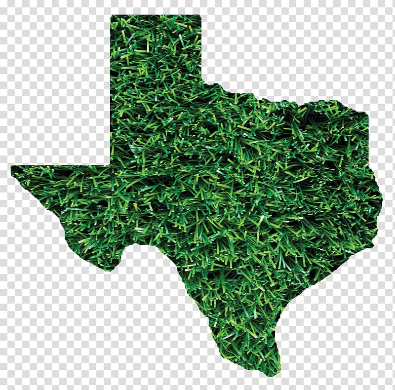 Austin Sprinturf, LLC Company Public Utility Commission of Texas Service, turf transparent background PNG clipart