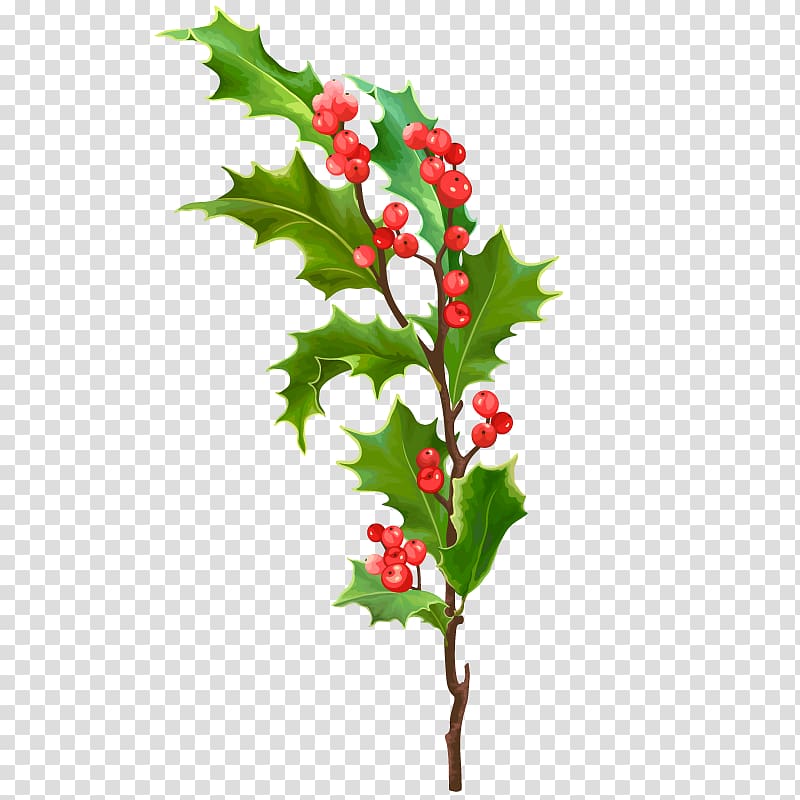 Leaf Christmas Holly, Christmas Tree Art transparent background PNG clipart
