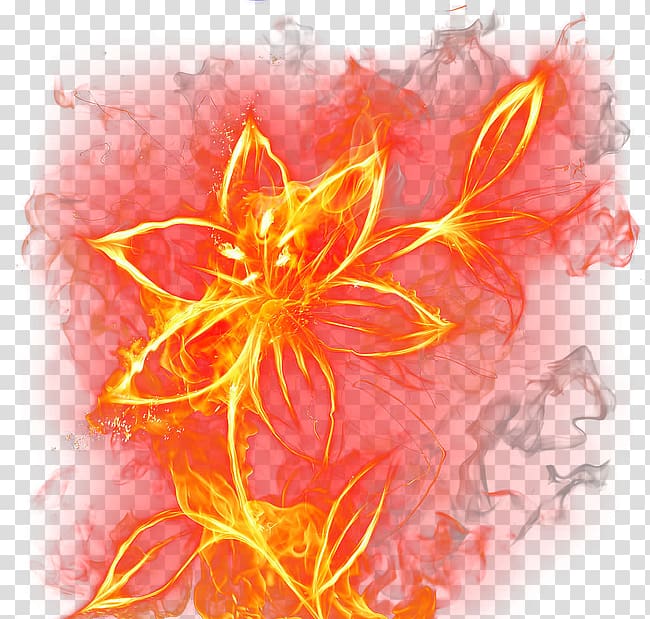 Burning Flowers transparent background PNG clipart