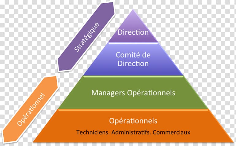 Management stratégique Organization Natural environment Orange S.A., structural combination transparent background PNG clipart