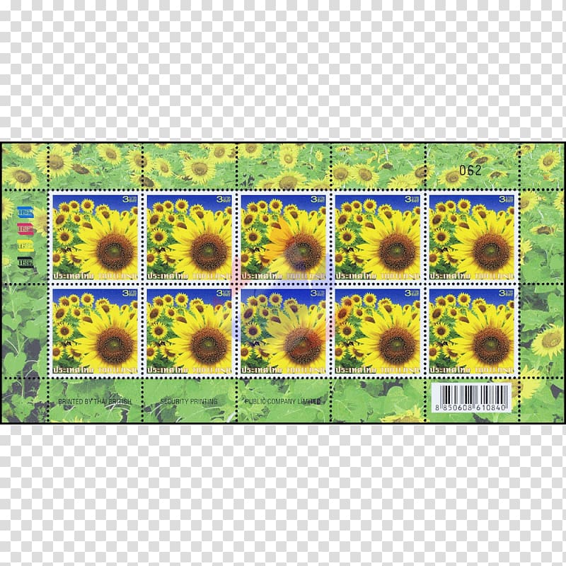 Common sunflower Postage Stamps Definitive stamp Sunflower seed Daisy family, songkran transparent background PNG clipart