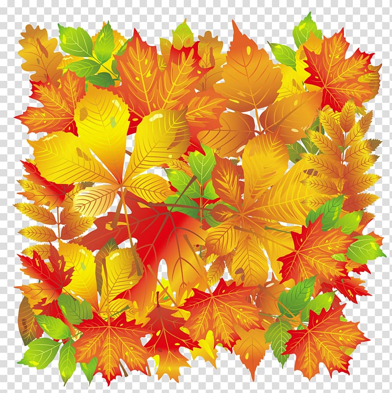leaves illustration, Autumn leaf color, Fall Leaves transparent background PNG clipart