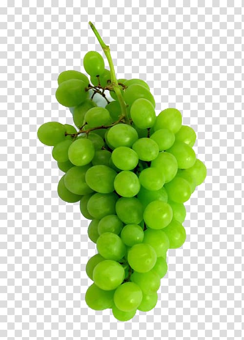 Grapevines Sultana Fruit Wine, grape transparent background PNG clipart