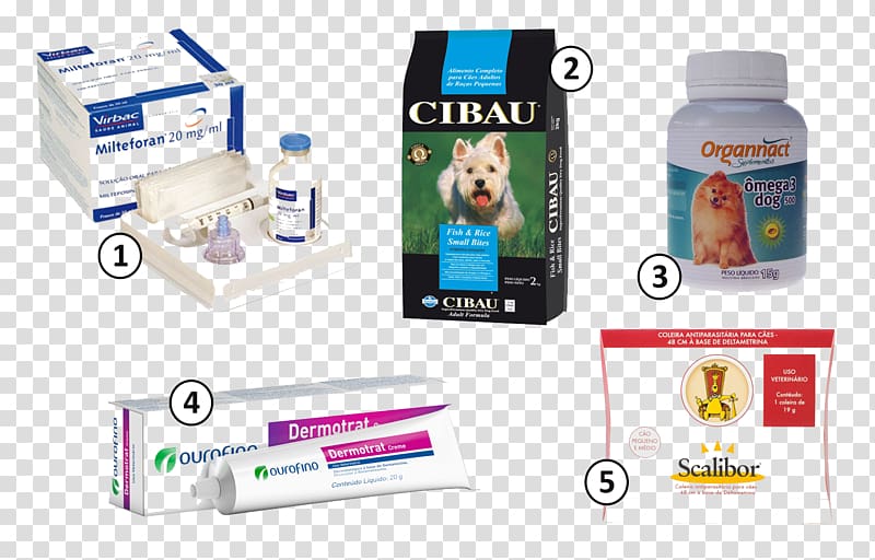 Dog Visceral leishmaniasis Tratamento Pharmaceutical drug, Dog transparent background PNG clipart