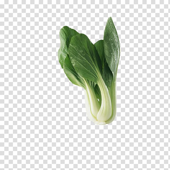 Chinese cabbage Vegetable Bok choy Red cabbage, A cabbage transparent background PNG clipart
