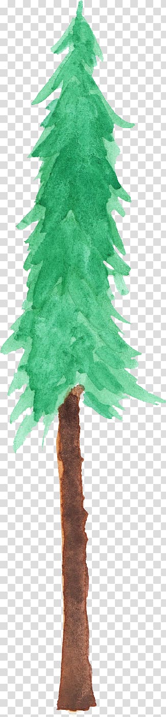 Fir Spruce Christmas tree Branch, christmas tree transparent background PNG clipart