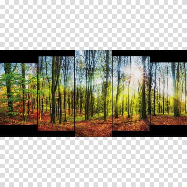 Hunting Painting, Forest Decoration transparent background PNG clipart